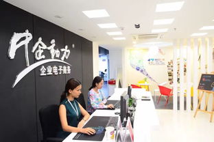 青年視角 互聯網時代下的商務信息咨詢